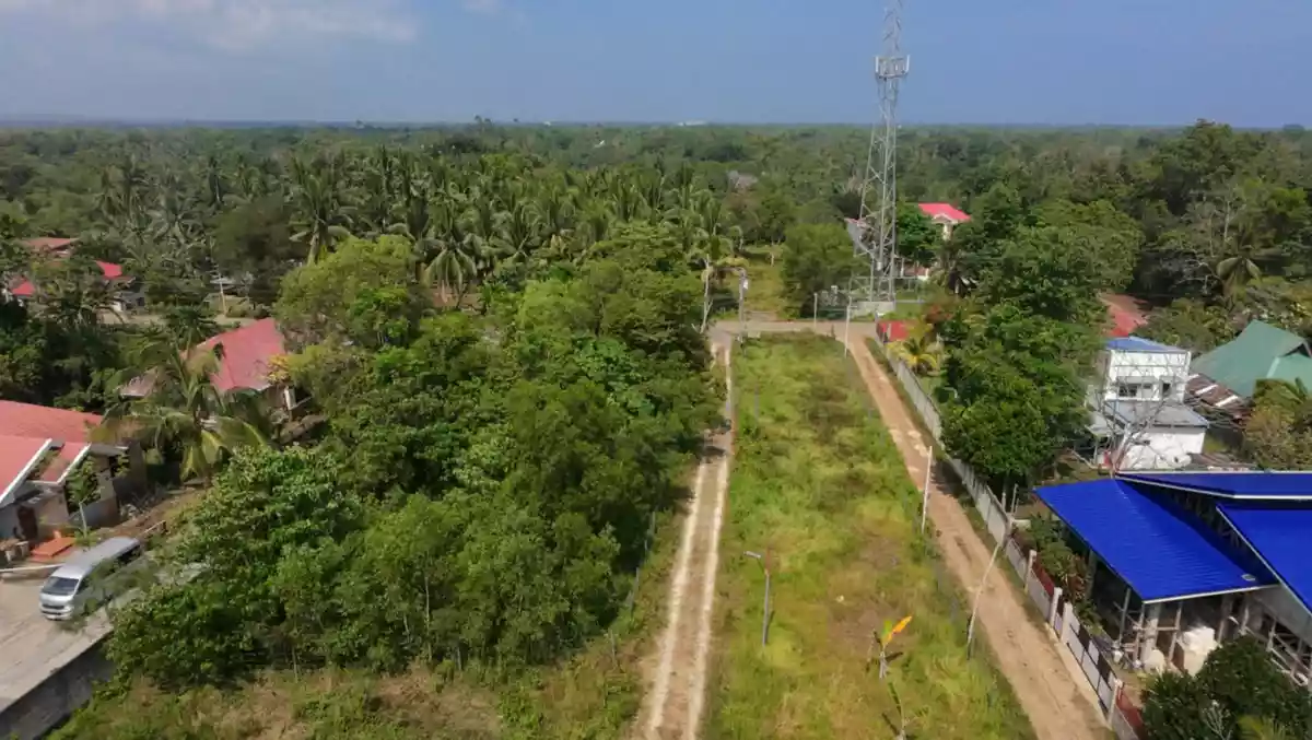 TINAGO RESIDENTIAL LOT - 14126-D — Residential Lot in Dauis, Bohol, 6339 — Photo 5