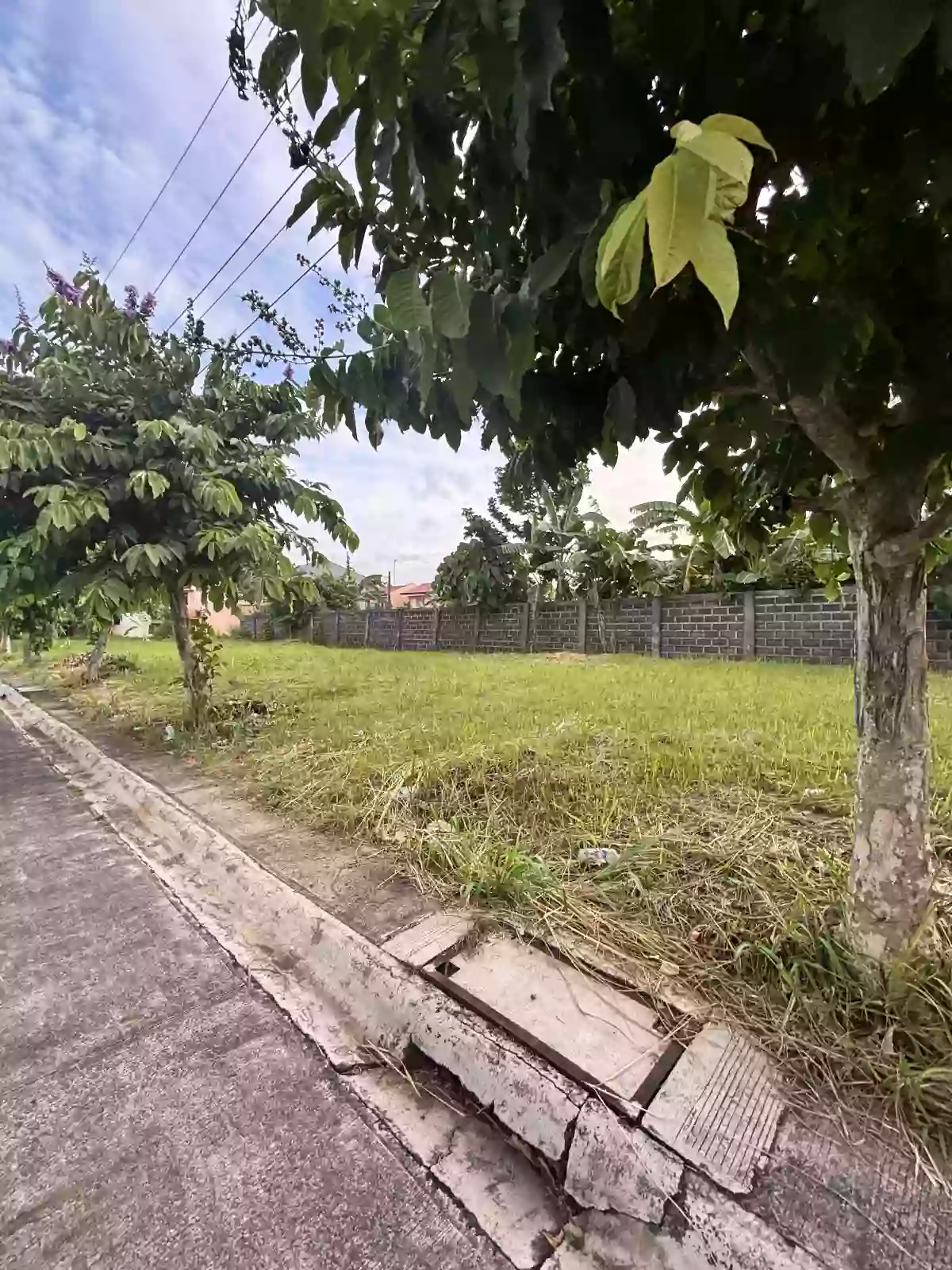 For Sale: Residential Lot in Cararayan, Naga City — 87 sqm — Residential Lot in Camarines Sur, 4400, Philippines — Photo 5