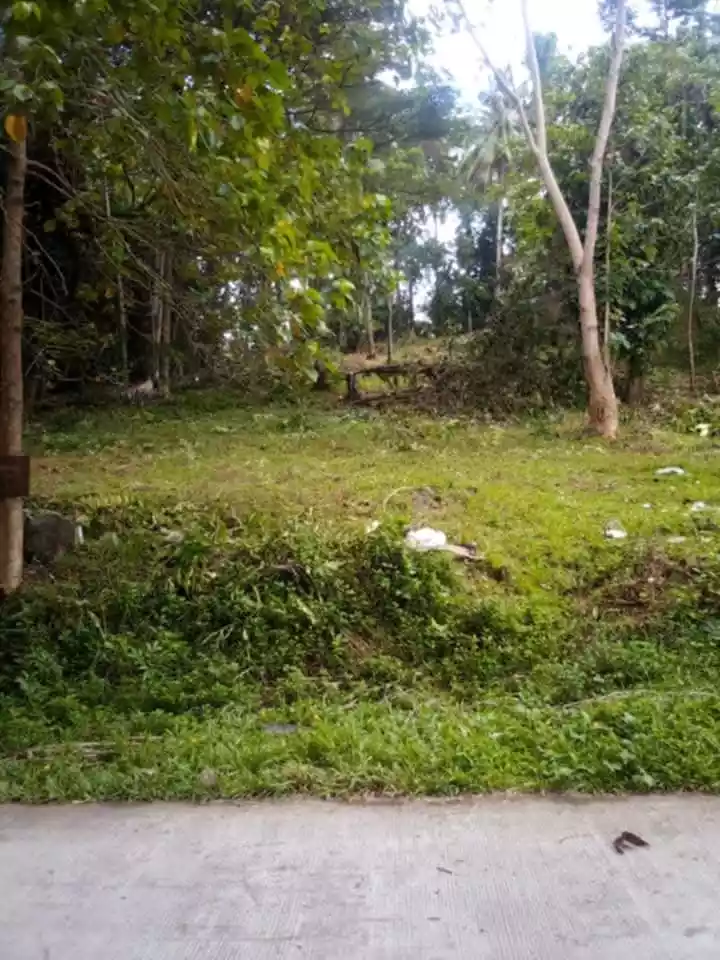 For Sale: 9426 sqm Residential Lot in Talairon, Oroquieta City — Land Banking