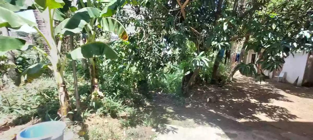 FOR SALE: 1,079 sqm Residential Lot in Pit-os Talamban, Cebu City — Residential Lot in Cebu City, Cebu, 6000 — Photo 3