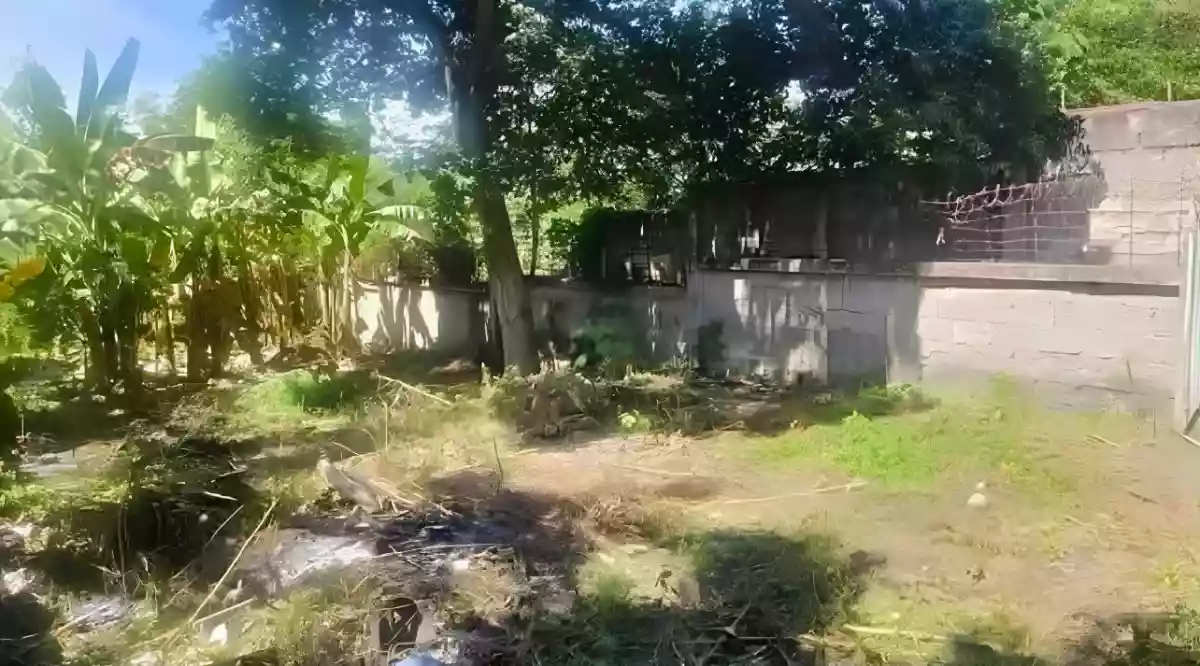 For Sale: Residential Lot in Linao, Talisay City — 250 sqm — Residential Lot in Talisay City, Cebu, 6045 — Photo 5