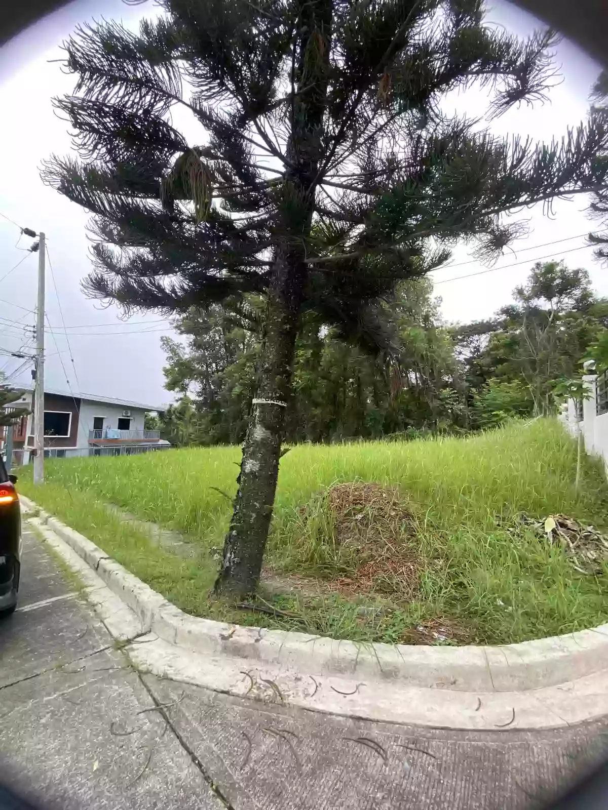 For Sale: Residential Lot 280 sqm at La Mirande Subdivision in Lumbia, Cagayan de Oro City — Residential Lot in Lumbia, Cagayan de Oro City, Misamis Oriental — Photo 5