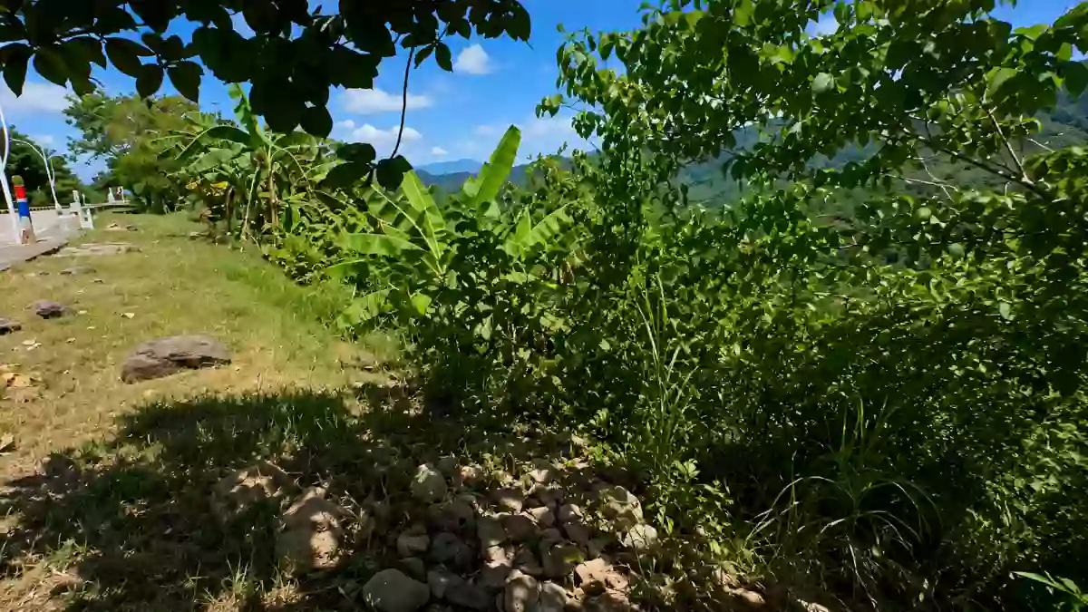 For Sale: Residential Lot in Guadalupe, Cebu City — 557 sqm — Residential Lot in Guadalupe, Cebu City, Cebu — Photo 3