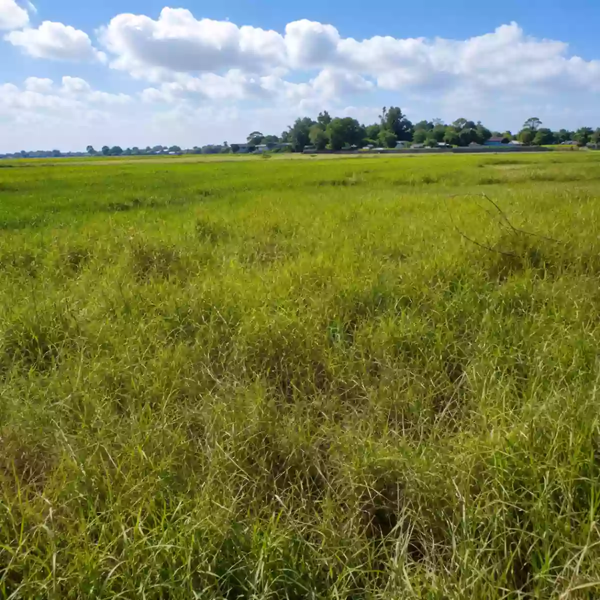 33,387 SQM Agricultural Land For Sale | Brgy. Calasag, San Ildefonso, Bulacan | Clean Title — Agricultural Lot in San Ildefonso, Bulacan, 3010 — Photo 3