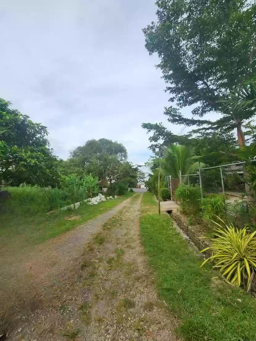 For Sale: Residential Lot in Brgy. Lipata, Surigao City — 275 sqm — Residential Lot in Surigao City, Surigao del Norte, 8400 — Photo 3