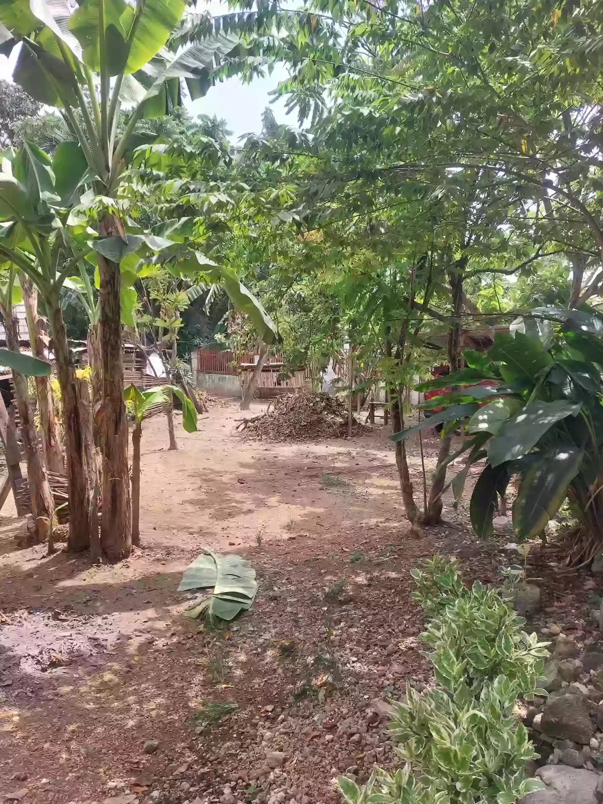 Residential Lot For Sale — Residential Lot in Poblacion, Liloan, Cebu — Photo 4