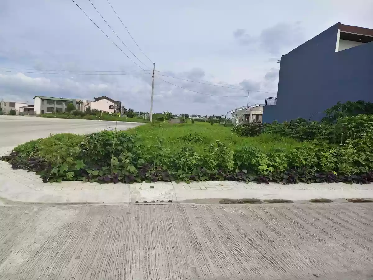 LOT FOR SALE — Residential Lot in Naga City, Camarines Sur, 4400 — Photo 7