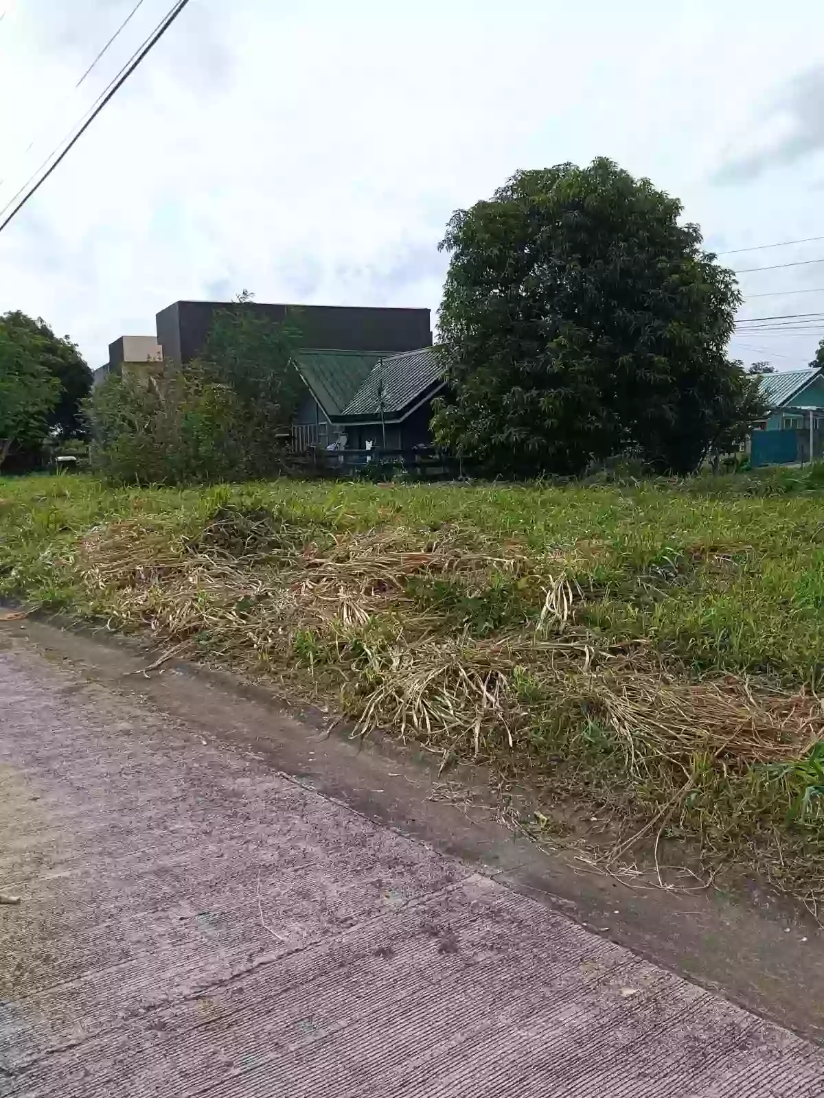 For Sale: Residential Lot in Pacol, Naga City — 125 sqm — Residential Lot in Naga City, Camarines Sur, 4400 — Photo 3