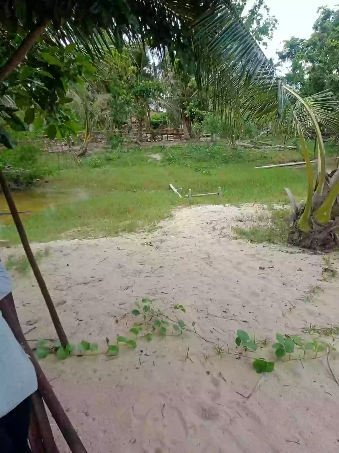 For Sale: Beach Lot in Salvacion, Roxas — 10,000 sqm — Beach Lot in Roxas, Palawan, 5308 — Photo 4