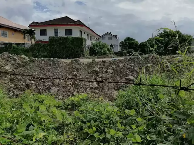 For Sale: Residential Lot in Pulang Lupa Dos, Las Piñas City — 174 sqm — Residential Lot in Las Piñas City, Metro Manila, 1742 — Photo 3