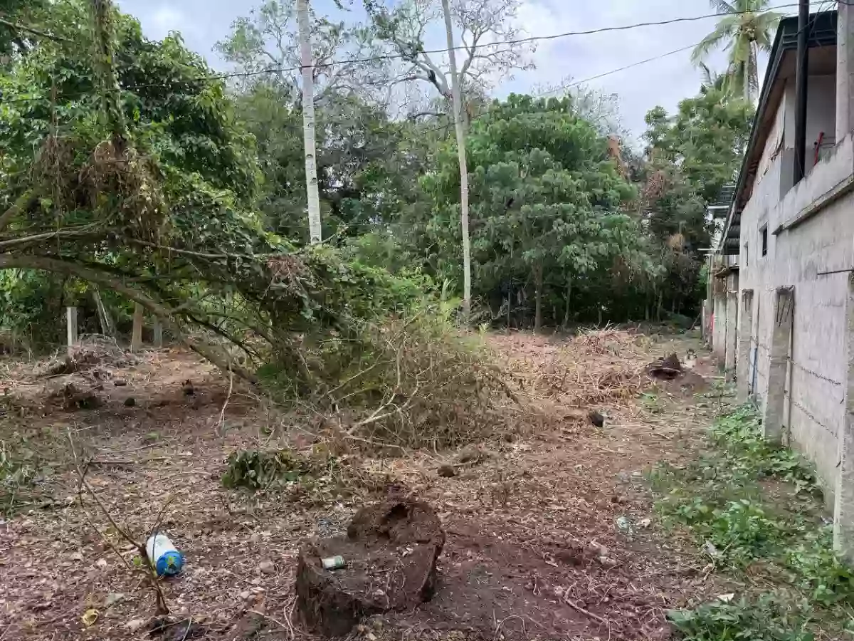 For Sale: Agricultural Lot in Poblacion, Naawan — 1299 sqm — Agricultural Lot in Poblacion, Naawan, Misamis Oriental — Photo 6