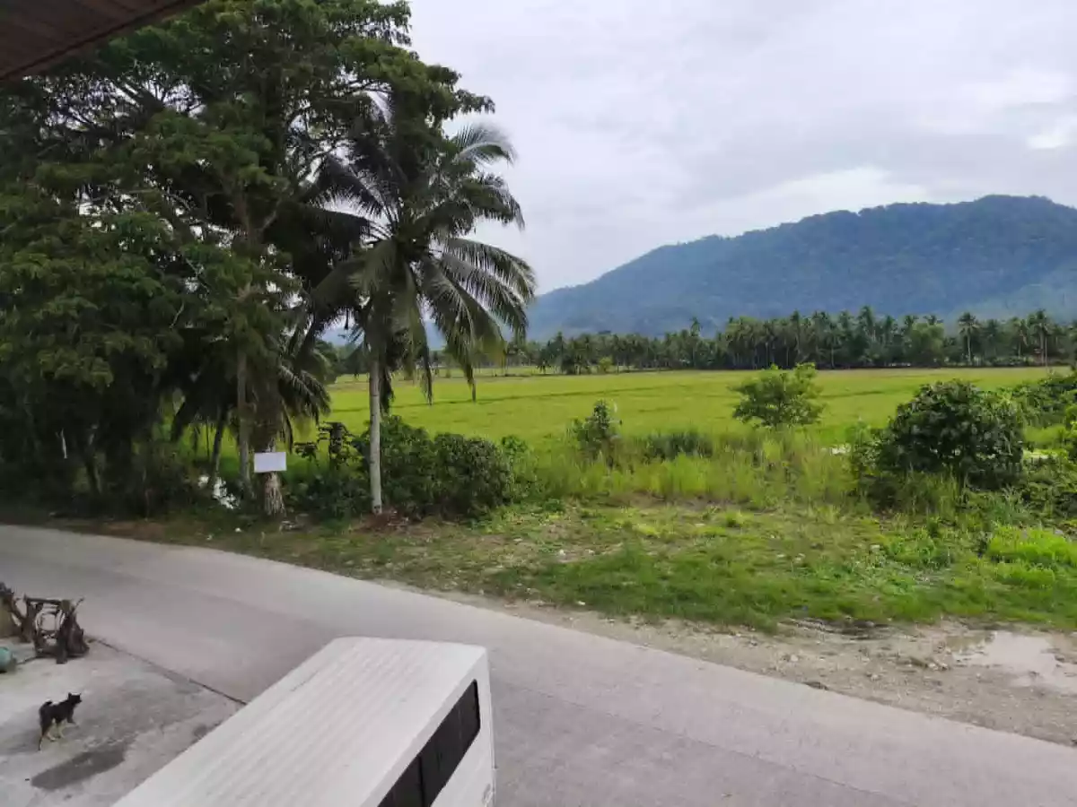 FOR SALE: Residential Lot in Barangay 5 (Pob.), San Francisco — 22,286 sqm — Residential Lot in San Francisco, Agusan del Sur, 8501 — Photo 4