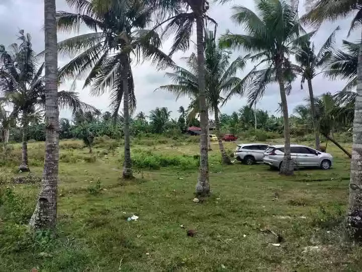Agricultural Lot for Sale Near Tutay Elementary School, Pinamungahan — 10315 sqm — Agricultural Lot in Pinamungahan, Cebu, 6039 — Photo 2