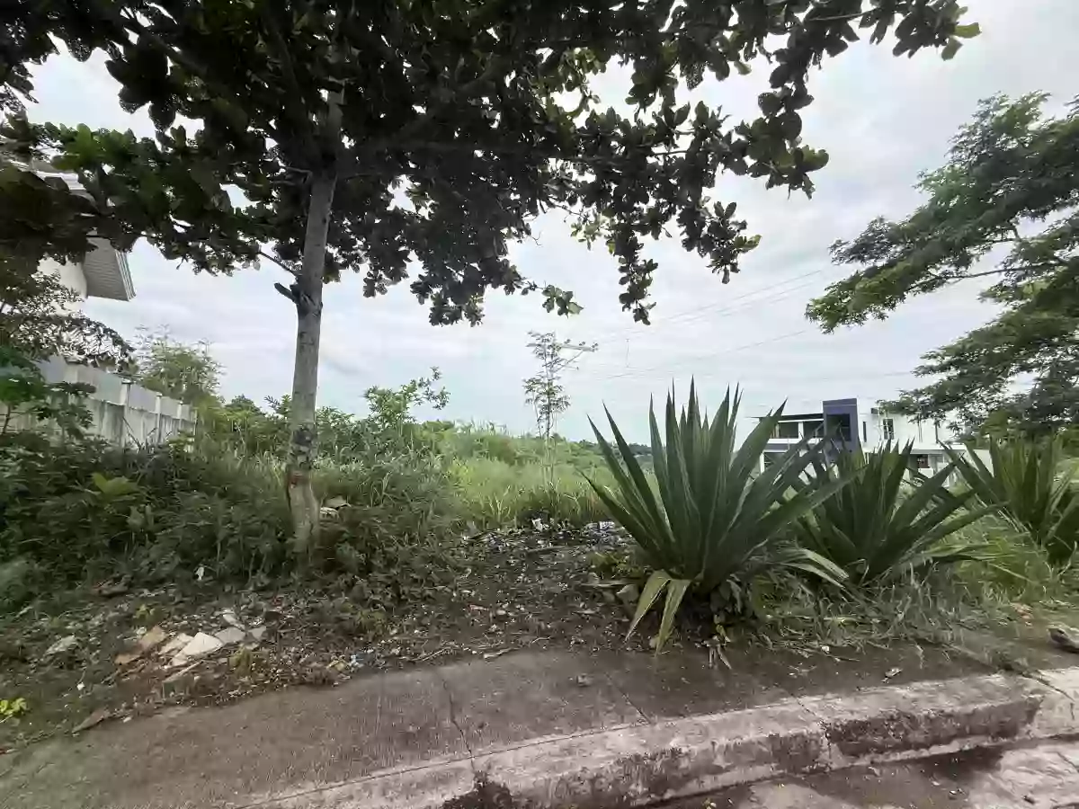 For Sale: Residential Lot in Sacsac, Consolacion, Cebu — 271 sqm — Residential Lot in Sacsac, Consolacion, Cebu — Photo 2