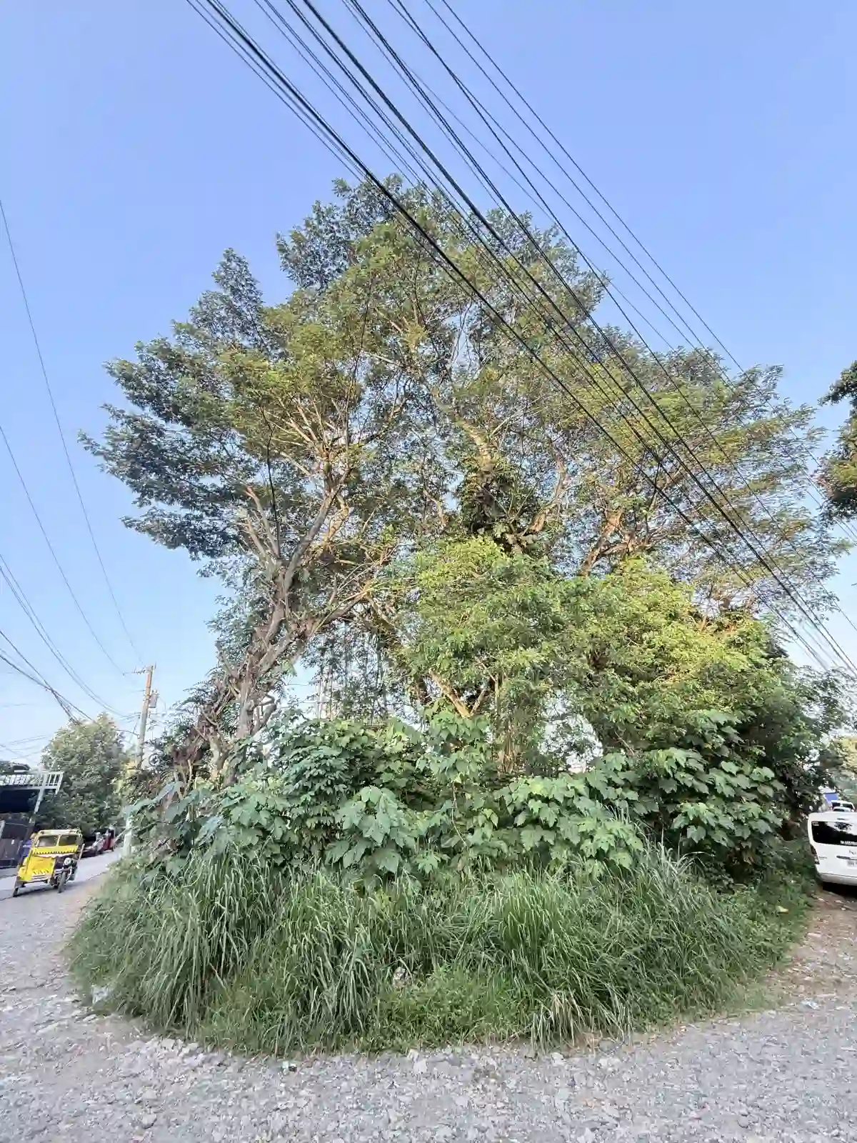 For Sale: Residential Lot in Ma-a, Davao City — 520 sqm Corner