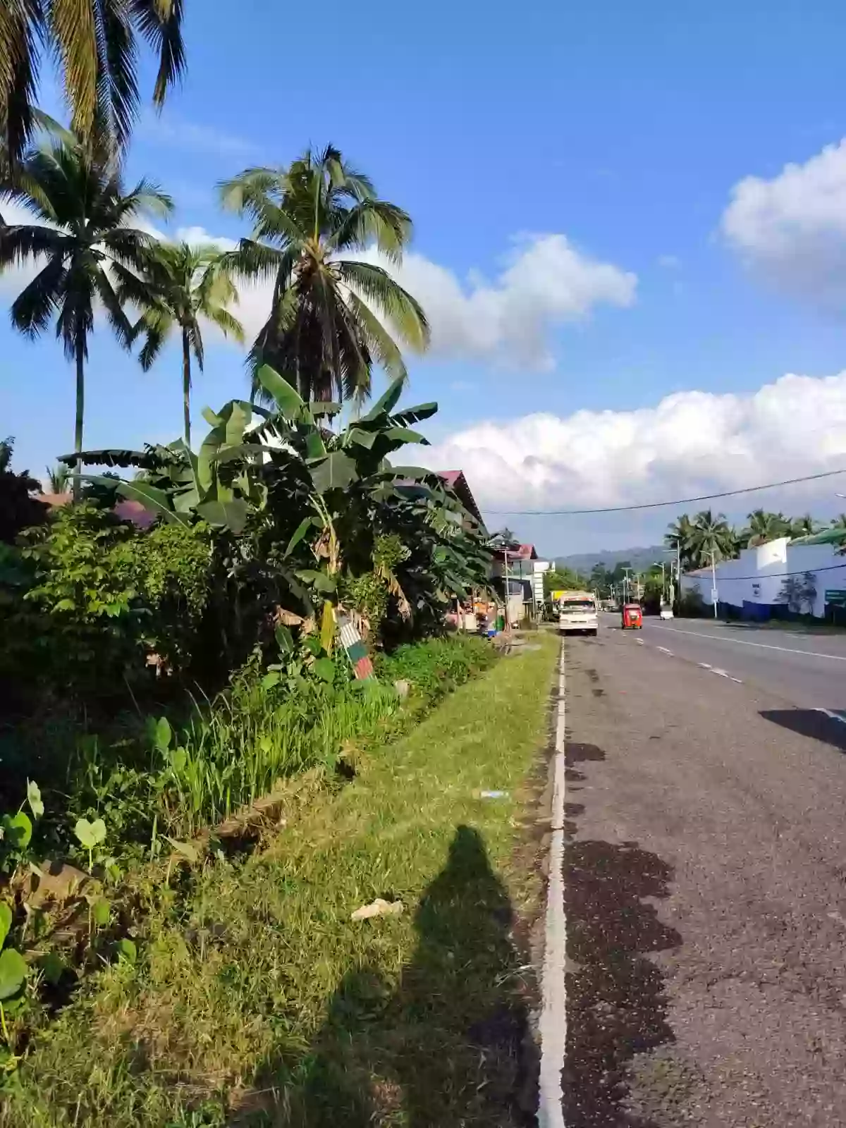 4500 sqm , commercial lot ,fronting national road — Commercial Lot in Pagadian City, Zamboanga del Sur, 7016 — Photo 5