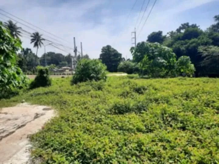 FOR SALE Industrial Lot in Toril, Davao City — 8945.78 sqm — Industrial Lot in Davao City, Davao del Sur, 8000 — Photo 4