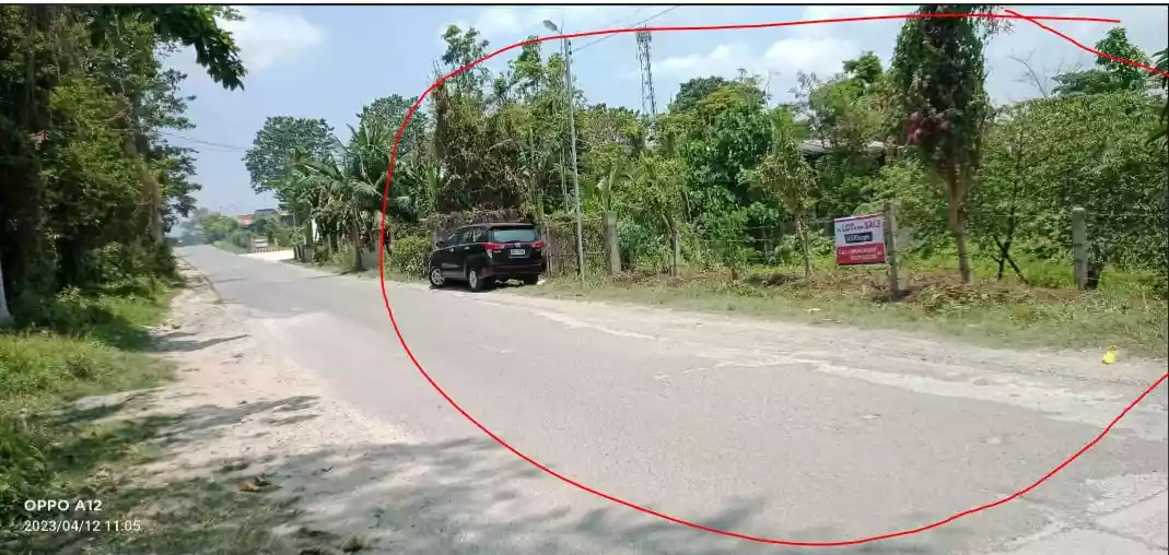 For Sale: Commercial Lot in Valladolid, Carcar — 6000 sqm — Commercial Lot in Carcar, Cebu, 6019 — Photo 4