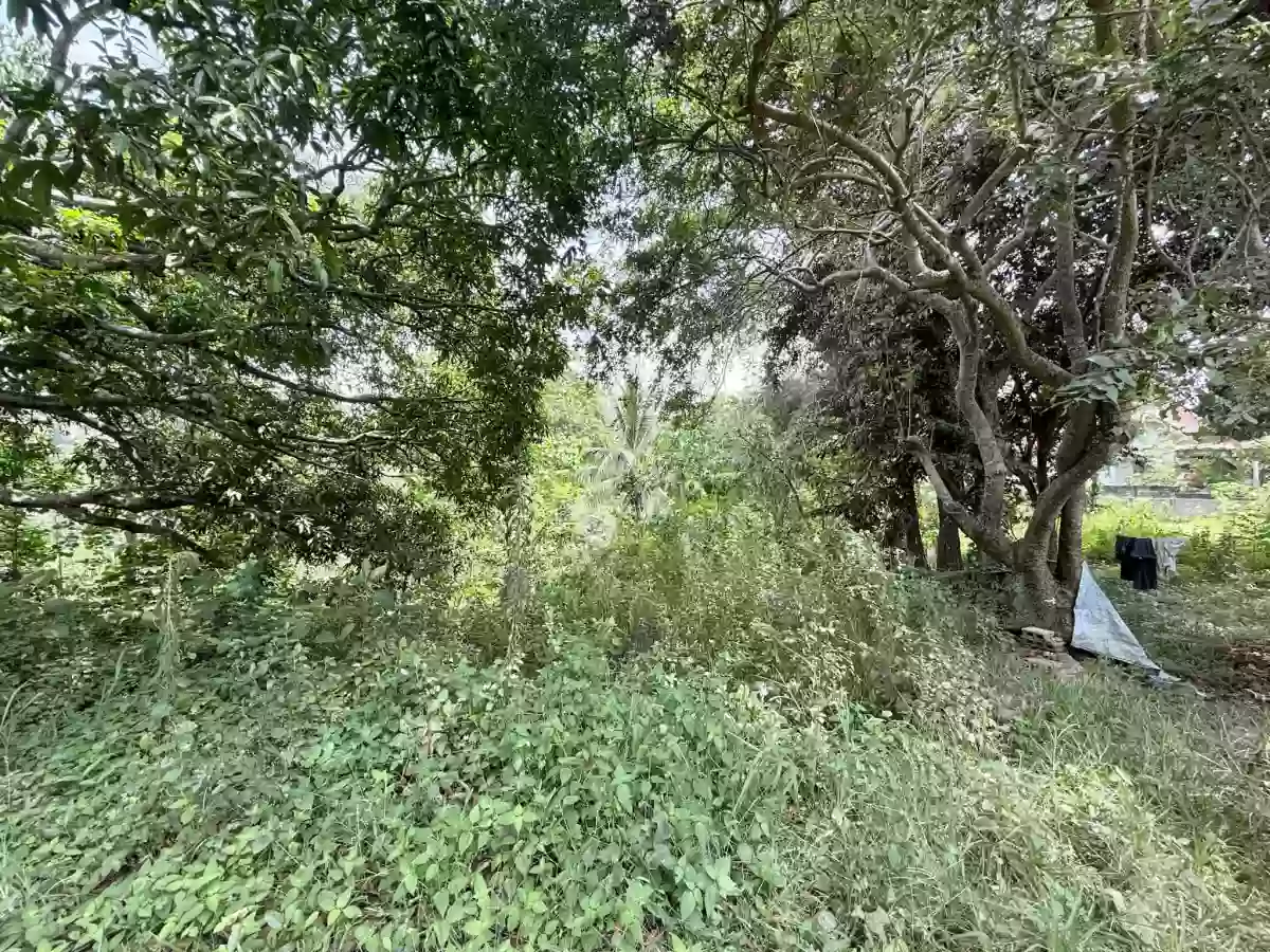 For Sale: 36000 sqm Residential Lot in Camaman-an, Cagayan de Oro City — Residential Lot in Cagayan de Oro City, Misamis Oriental, 9000 — Photo 2
