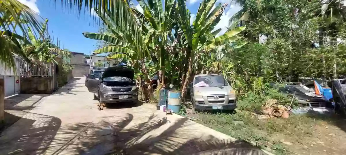 For Sale: 800 sqm Residential Lot in Pit-os Talamban, Cebu City — Residential Lot in Cebu City, Cebu, 6000 — Photo 5