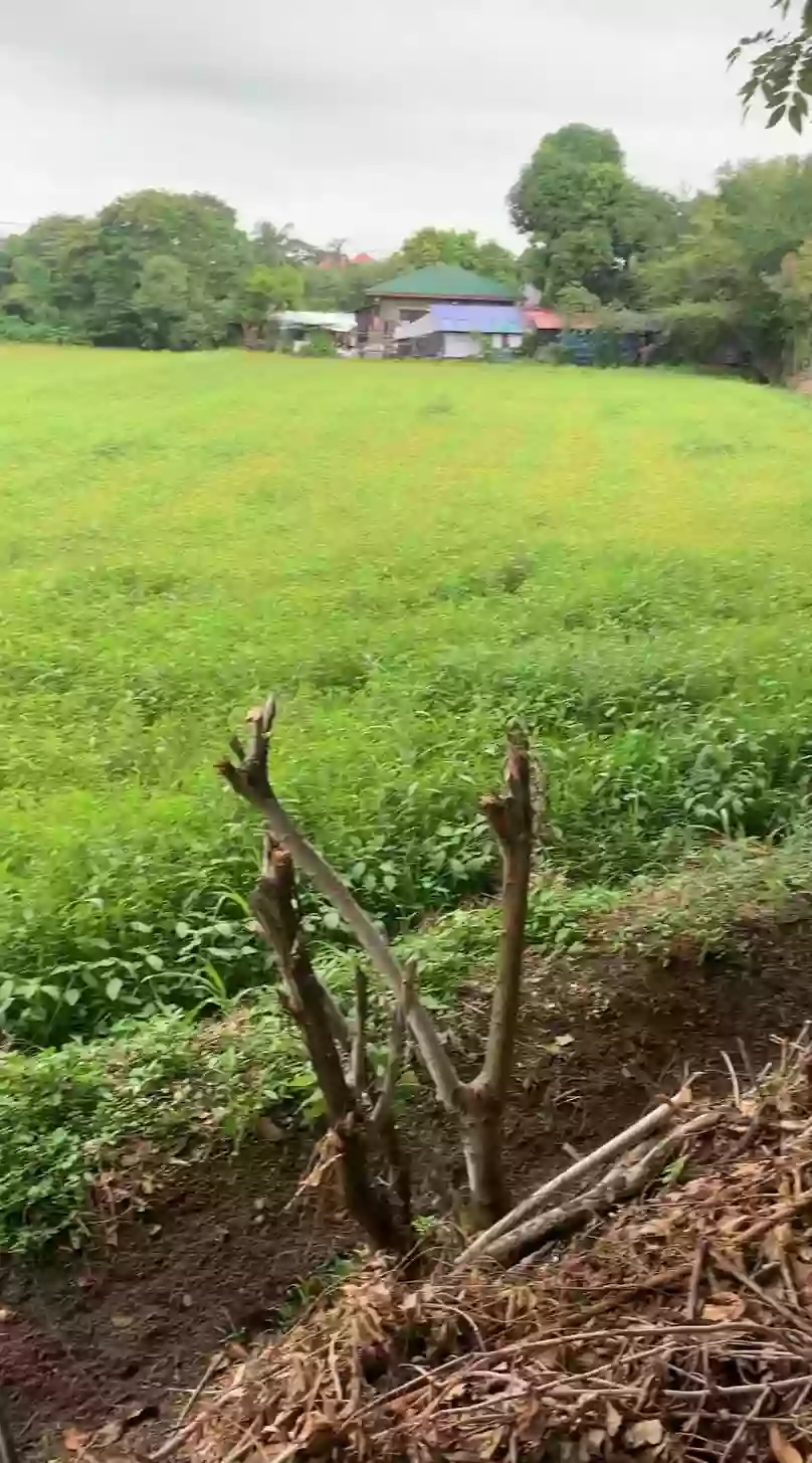 For Sale 11,851 sqm. Agricultural Lot — Agricultural Lot in Plaridel, Bulacan, 3004 — Photo 7