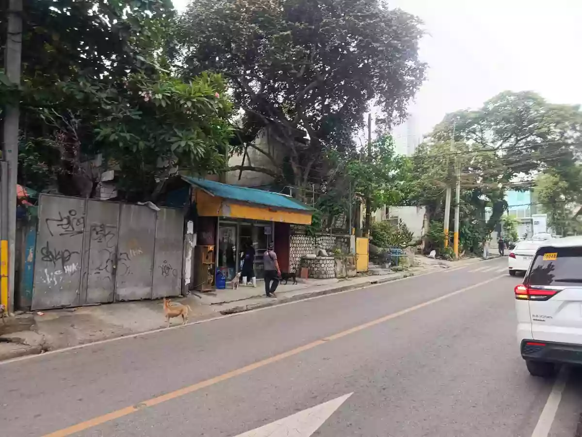 265 sqm Commercial Lot Along D. Jakosalem, Cebu City — Commercial Lot in Zapatera, Cebu City, Cebu — Photo 5