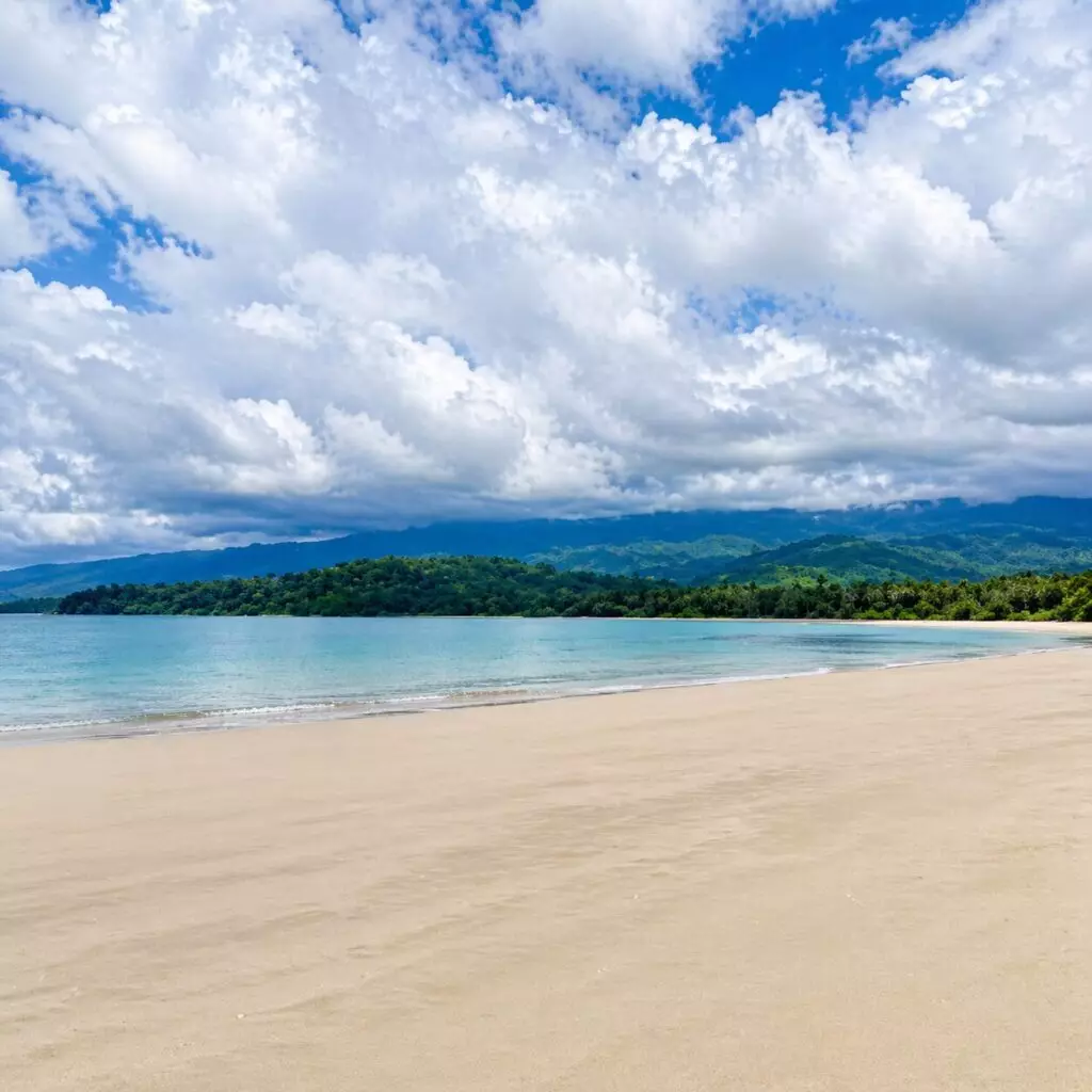 For Sale: Beach Lot in Napsan, Puerto Princesa City — 12628 sqm — Beach Lot in Puerto Princesa City, Palawan, 5300 — Photo 2