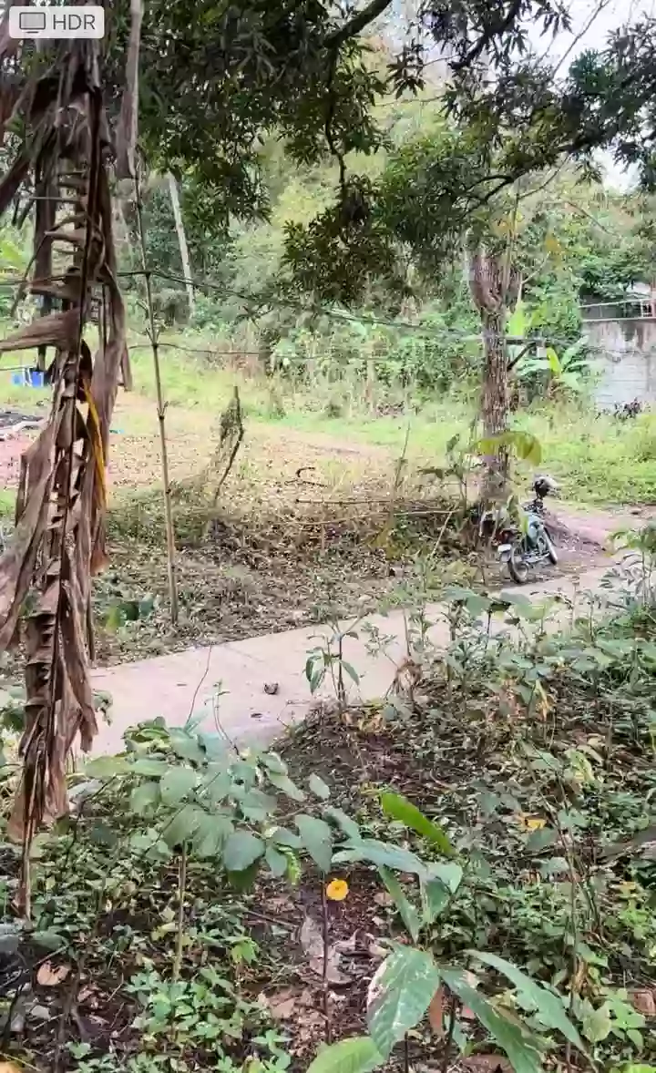 For Sale: Agricultural Lot in San Miguel II, Silang — 17589 sqm — Agricultural Lot in SITIO BANABA, San Miguel II, Silang — Photo 7