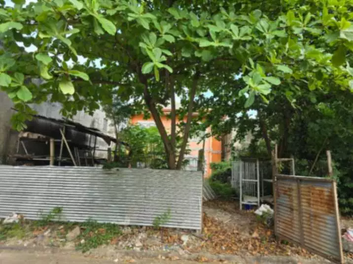 LOT FOR SALE IN PAJAC, LAPU-LAPU CITY! - photo 3