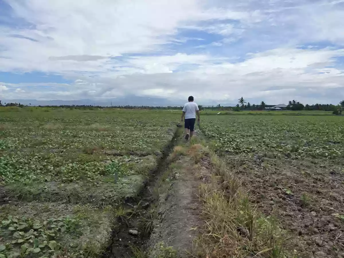 Two  Adjacent Residential Lots of 1,198sqm each for Sale — Residential Lot in General Santos City, South Cotabato, 9500 — Photo 3