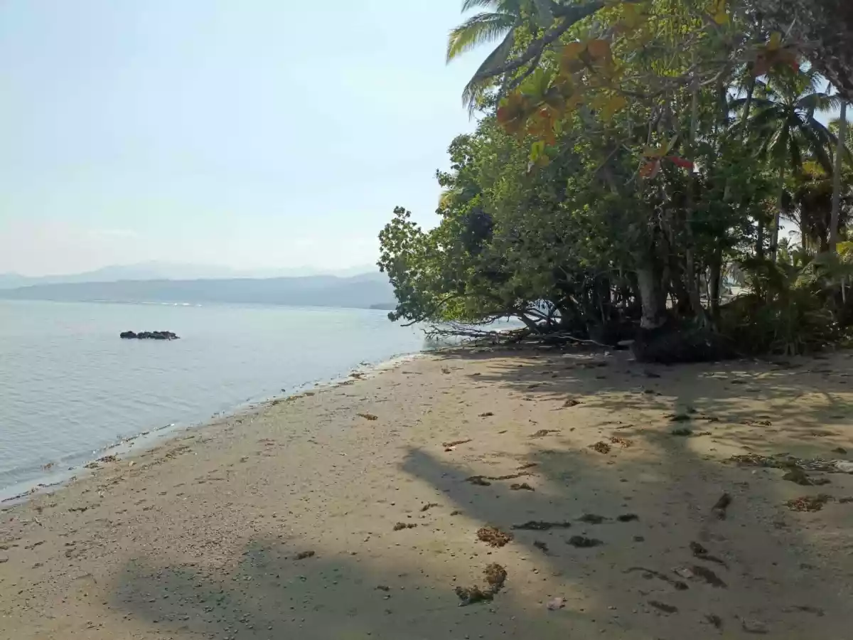 For Sale: Beach Lot in Aramaywan, Quezon, Palawan — 29955 sqm — Beach Lot in Quezon, Palawan, 5304 — Photo 3