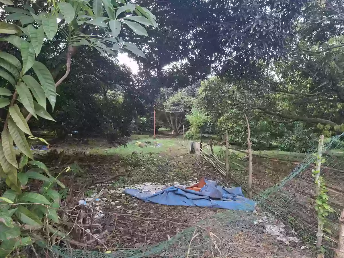 For Sale: Residential Lot in Indahag, Cagayan de Oro City — 2166 sqm — Residential Lot in Cagayan de Oro City, Misamis Oriental, 9000 — Photo 4