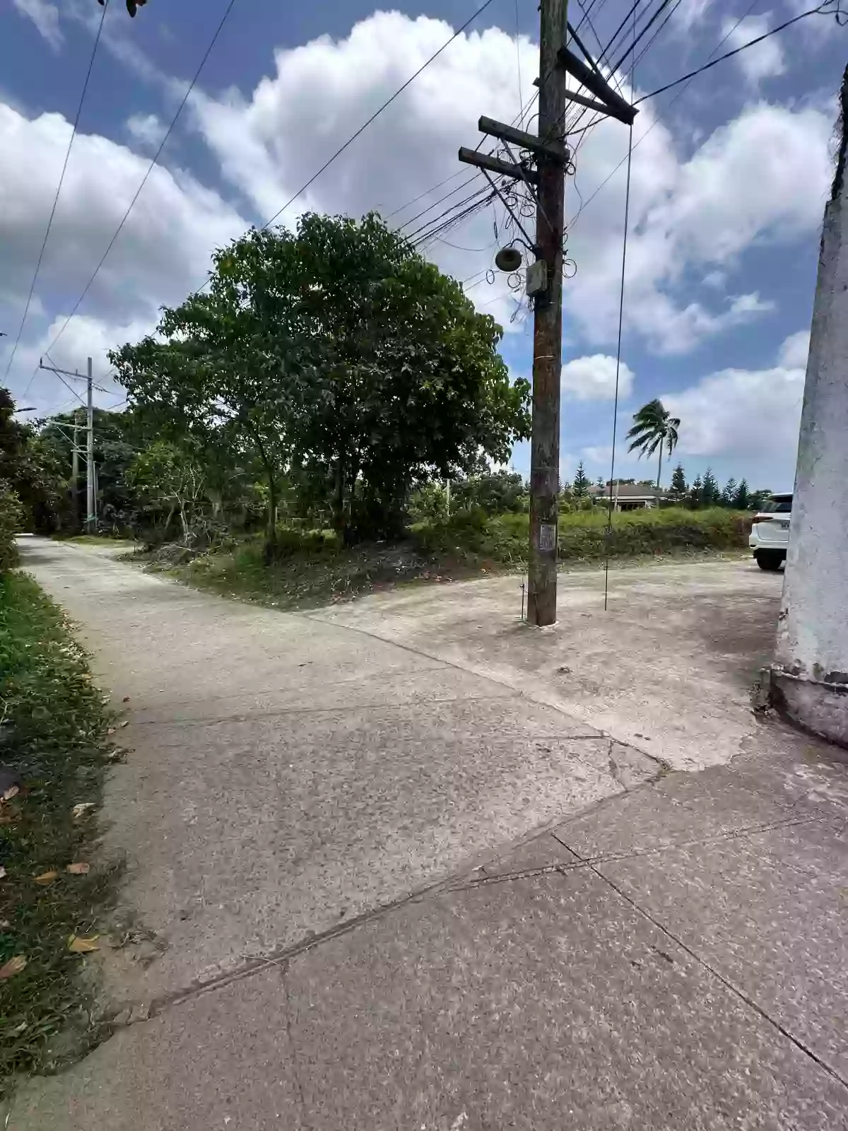 For Sale: Pasong Langka Residential Lot in Silang — 500 sqm Investment — Residential Lot in Silang, Cavite, 4118 — Photo 4