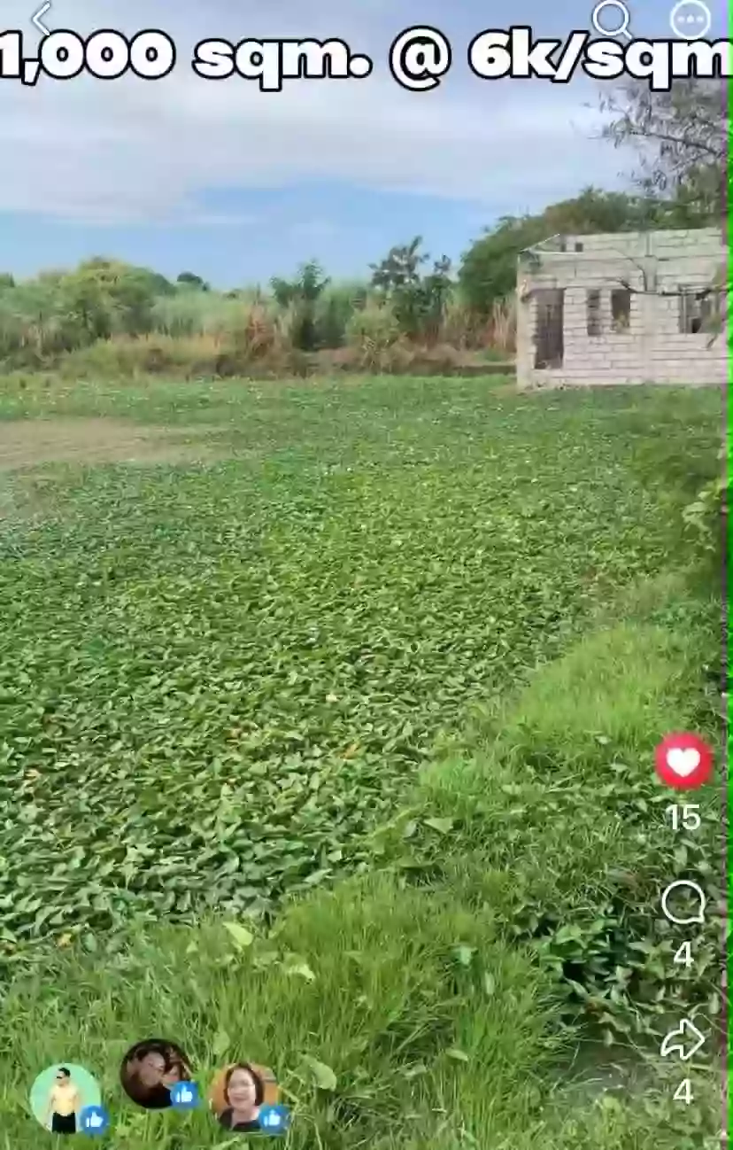 For Sale: Agricultural Lot in Bintog, Plaridel — 1000 sqm — Agricultural Lot in Plaridel, Bulacan, 3004 — Photo 2