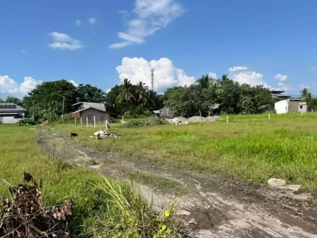 Rush Sale: 1264 sqm Residential Lot in Bo. 1, Koronadal — Investment — Residential Lot in General Paulino Santos (Bo. 1), Koronadal, South Cotabato — Photo 5
