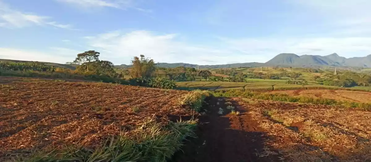 Kalasungay Agricultural Lot for Sale in Malaybalay — 326119 sqm Investment — Agricultural Lot in Malaybalay, Bukidnon, 8700 — Photo 6