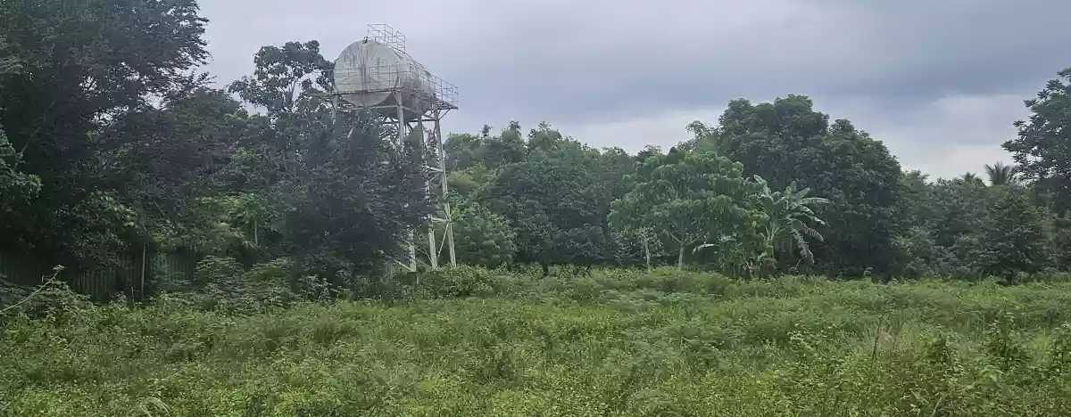 For Sale Farm Lot -Purok 8 Tinagacan, Gen. Santos City — Gated and Cemented Road — Agricultural Lot in Lower Labay, Tinagacan, Gen. Santos City — Photo 4