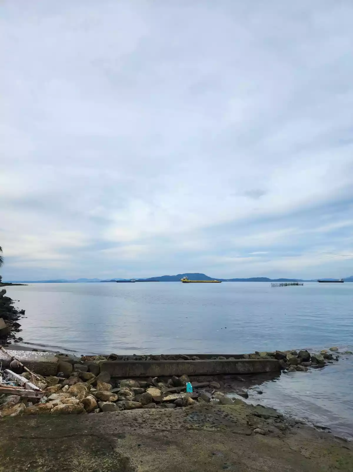 For Sale: Beach Lot in Lipata, Surigao City — 4027 sqm — Beach Lot in Surigao City, Surigao del Norte, 8400 — Photo 7