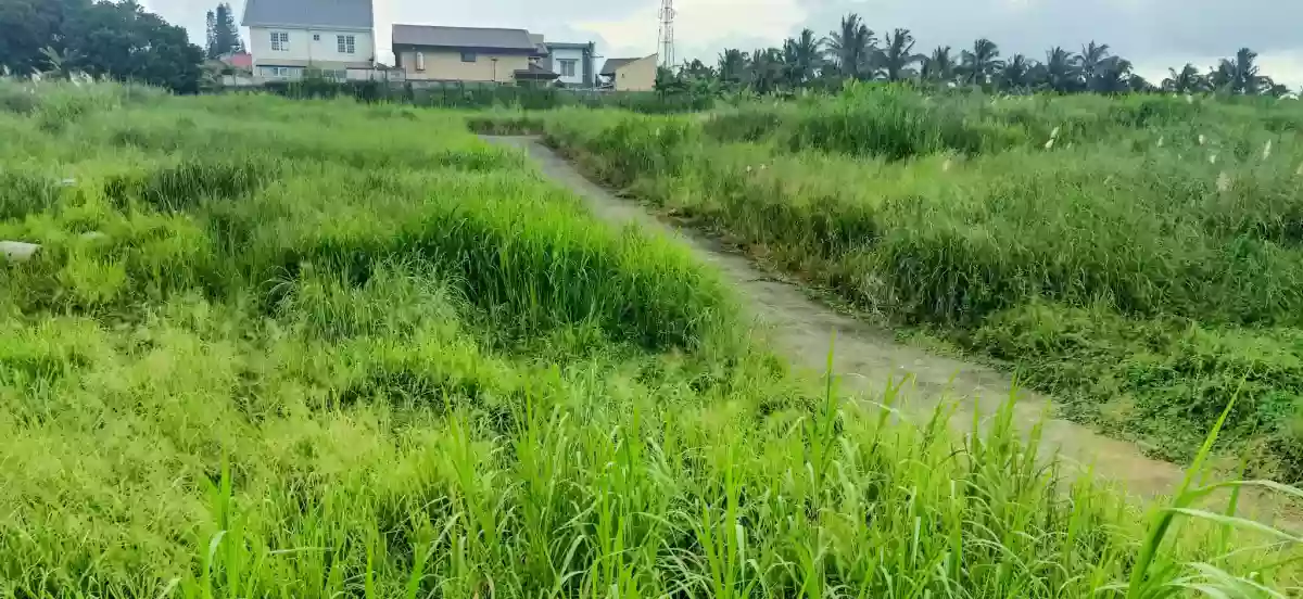For Sale: Residential Lot Near Country Homes 3, Tagaytay City — 20,000,000 sqm