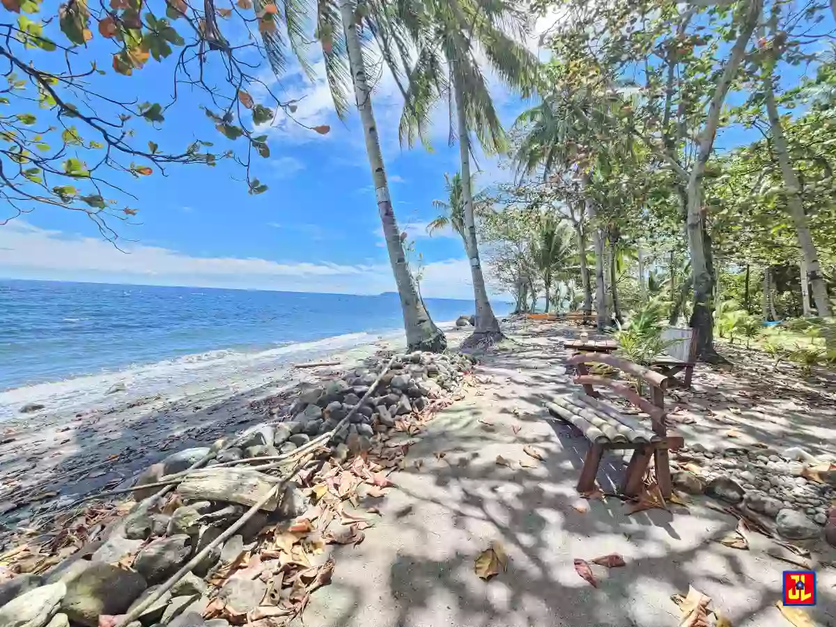 Rush Sale 28,265sqm Beach Lot in Maayongtubig, Dauin, Negros Oriental [available]