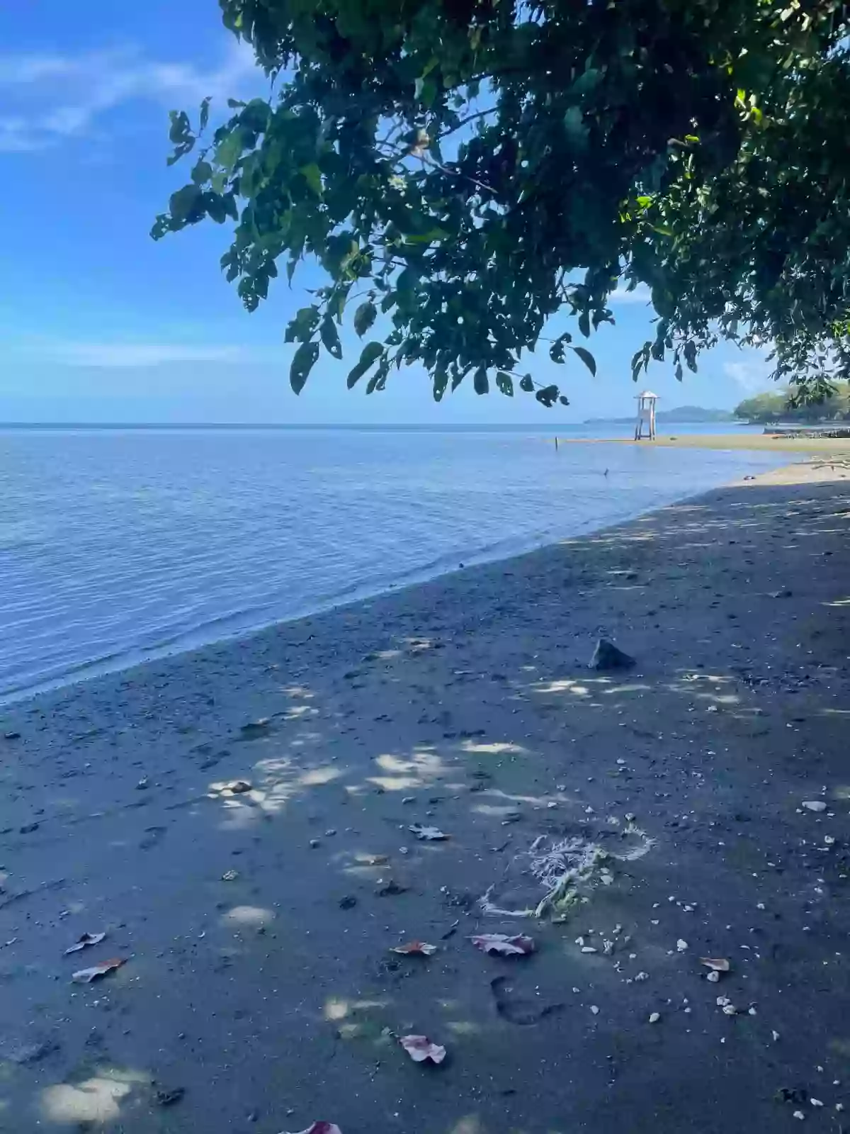 BEACH FRONT PROPERTY IN MAGSAYSAY — Beach Lot in Magsaysay, Misamis Oriental, 9015 — Photo 3