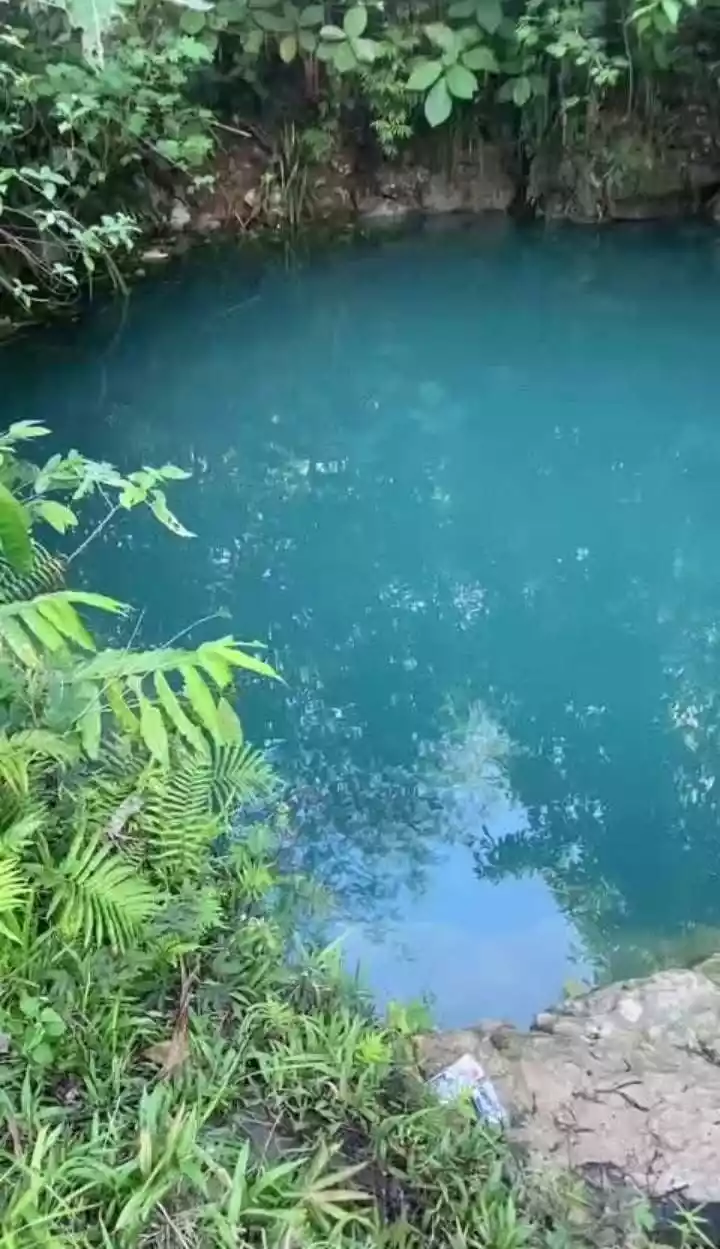 For Sale: Agricultural Lot in San Jose (Pob.), Del Carmen — 81,445 sqm — Agricultural Lot in Del Carmen, Surigao del Norte, 8418 — Photo 4