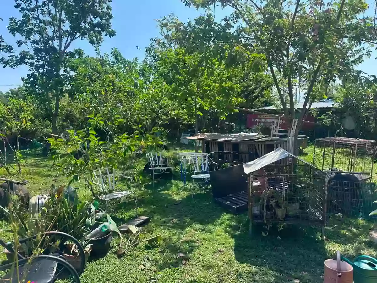 Rush Sale: Residential Lot in Alangilan, Bacolod City — 1585 sqm