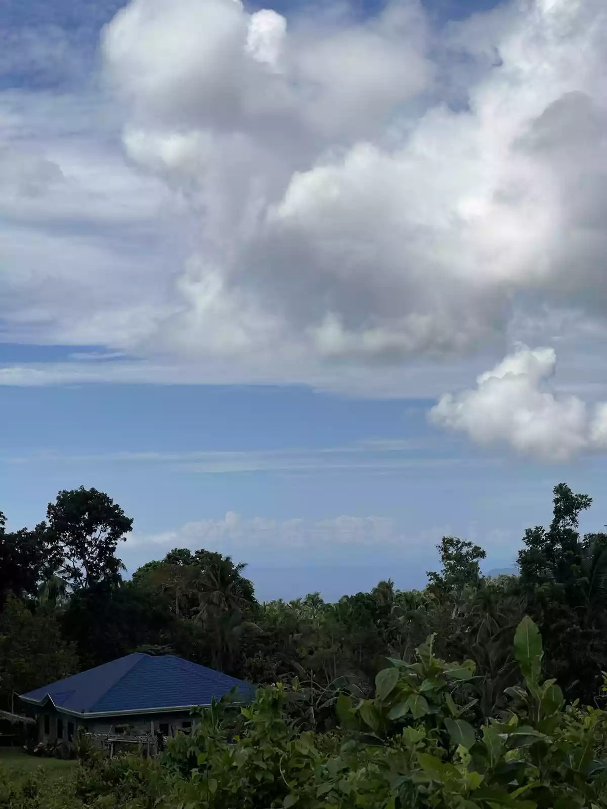 For Sale Agricultural Lot in Panubtuban, Dauin — 7,130 sqm — Agricultural Lot in Dauin, Negros Oriental, 6217 — Photo 6