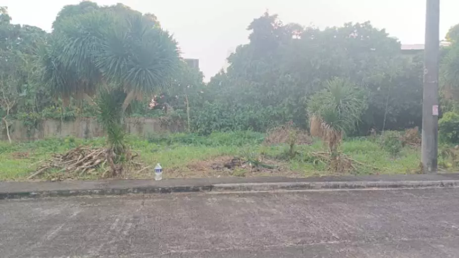 For Sale: Residential Lot in Ciudad Maharlika Subd. Ilayang Iyam Lucena City – Near Main Road - photo 4