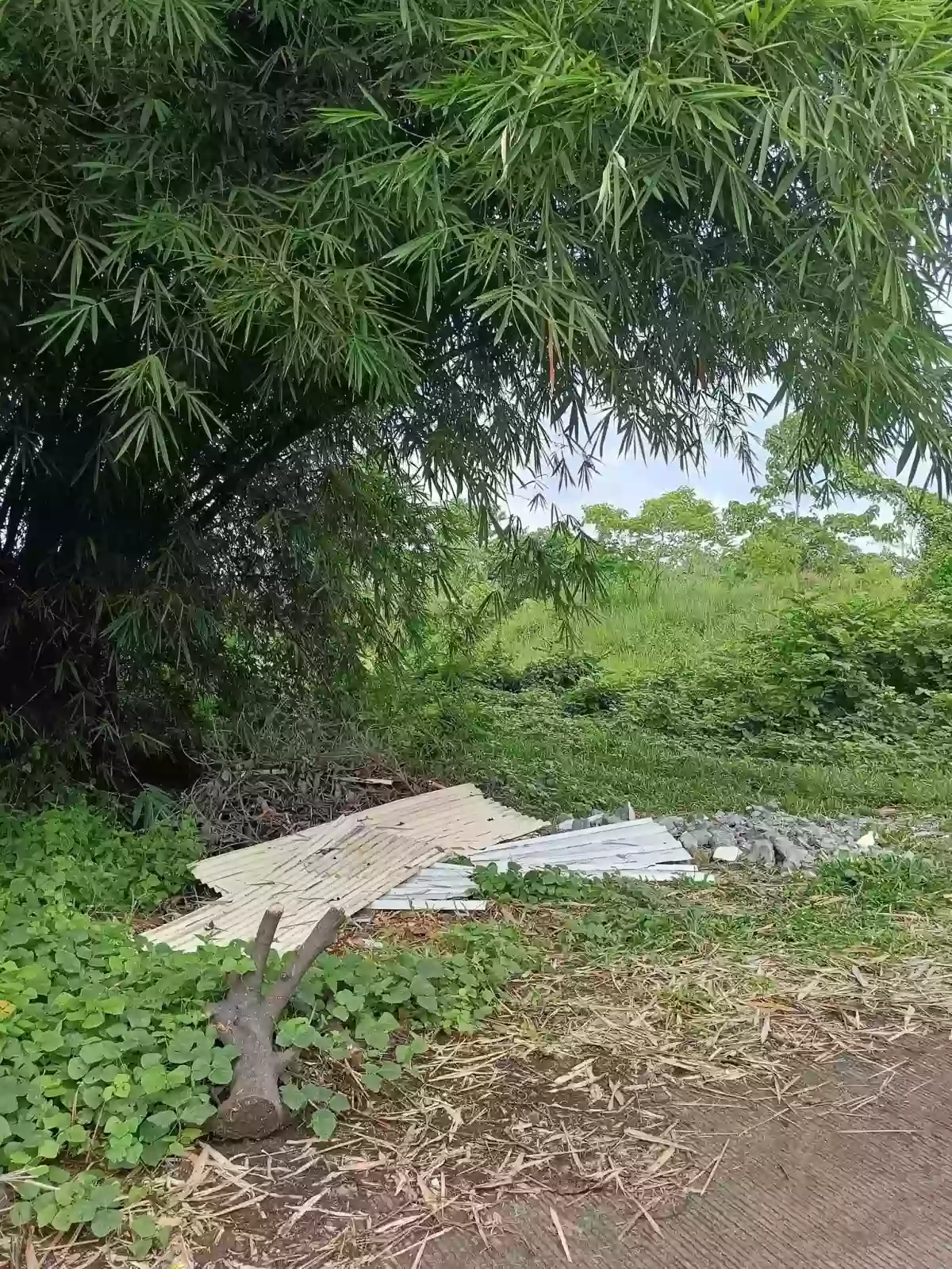 Lot For Sale - 15,399 SQM Investment Property Beside Apo Highlands Subdivision | Catalunan Grande, Davao City — Agricultural Lot in Catalunan Grande, Davao City, Davao del Sur — Photo 5