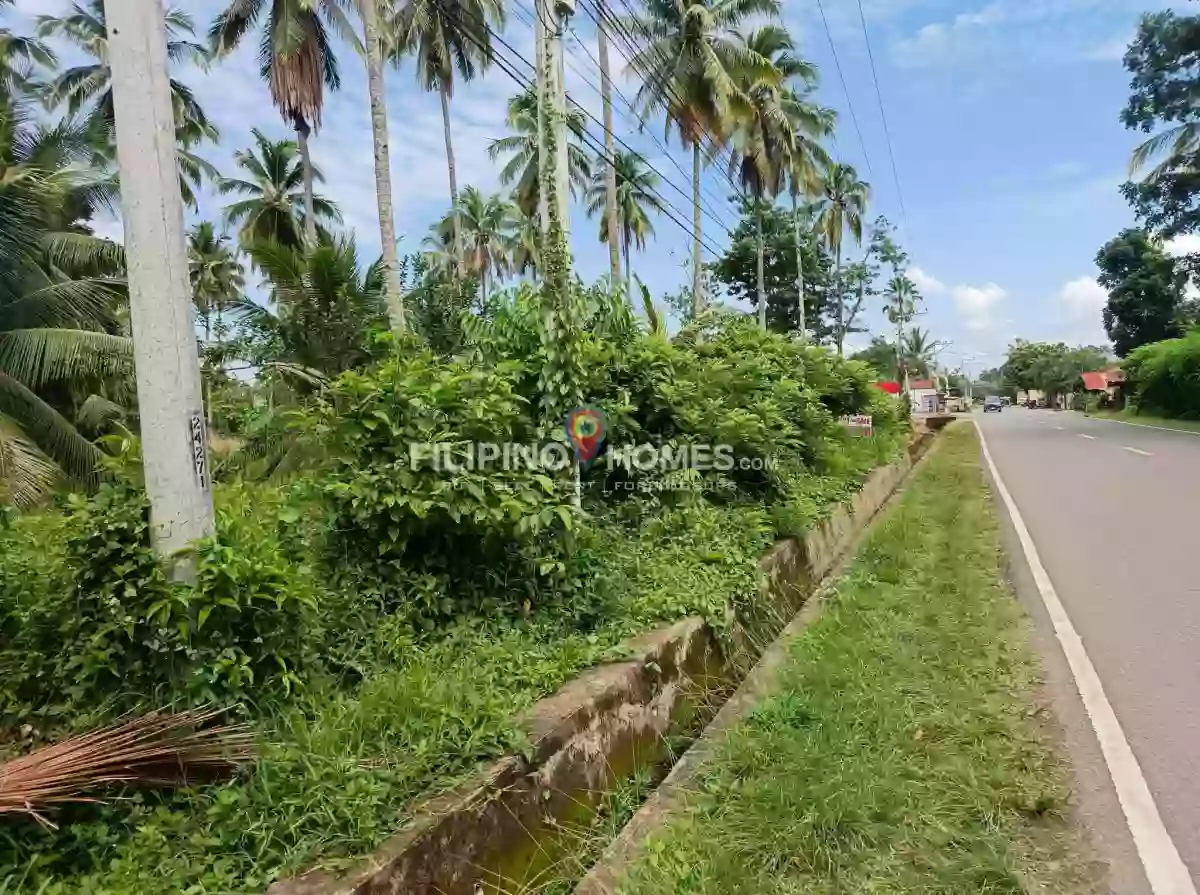 For Sale: Agricultural Lot in Poblacion, Magpet — 1031 sqm — Agricultural Lot in Magpet, Cotabato, 9404 — Photo 4