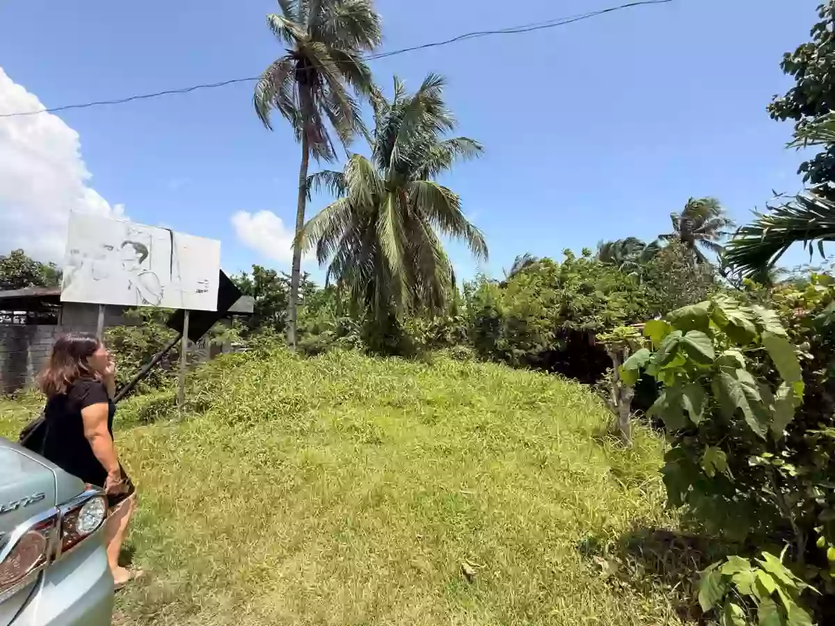 For Sale: Commercial Lot in Taloc, Bago City — 2,569 sqm — Commercial Lot in Taloc, Bago City, Negros Occidental — Photo 4
