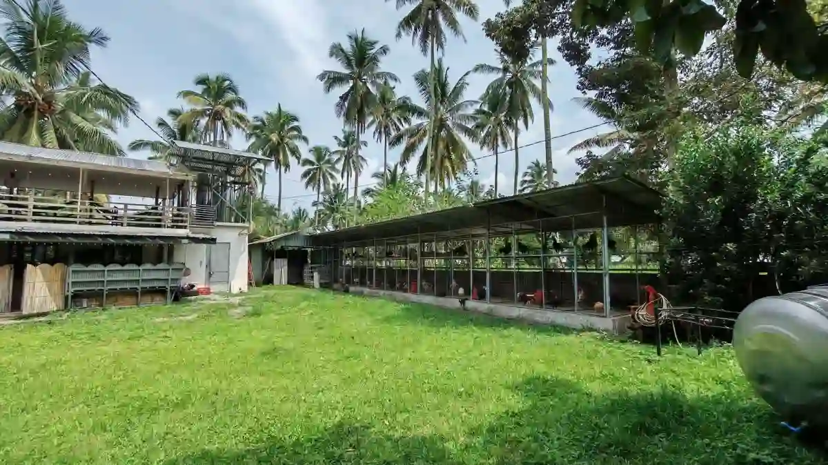 For Sale: Agricultural Lot in Polonuling, Tupi — 20000 sqm — Agricultural Lot in Tupi, South Cotabato, 9505 — Photo 6
