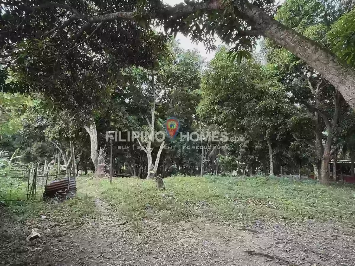 🌴 LOT FOR SALE in Kiwanan, Midsayap! 🏡✨ — Agricultural Lot in Midsayap, Cotabato, 9410 — Photo 2